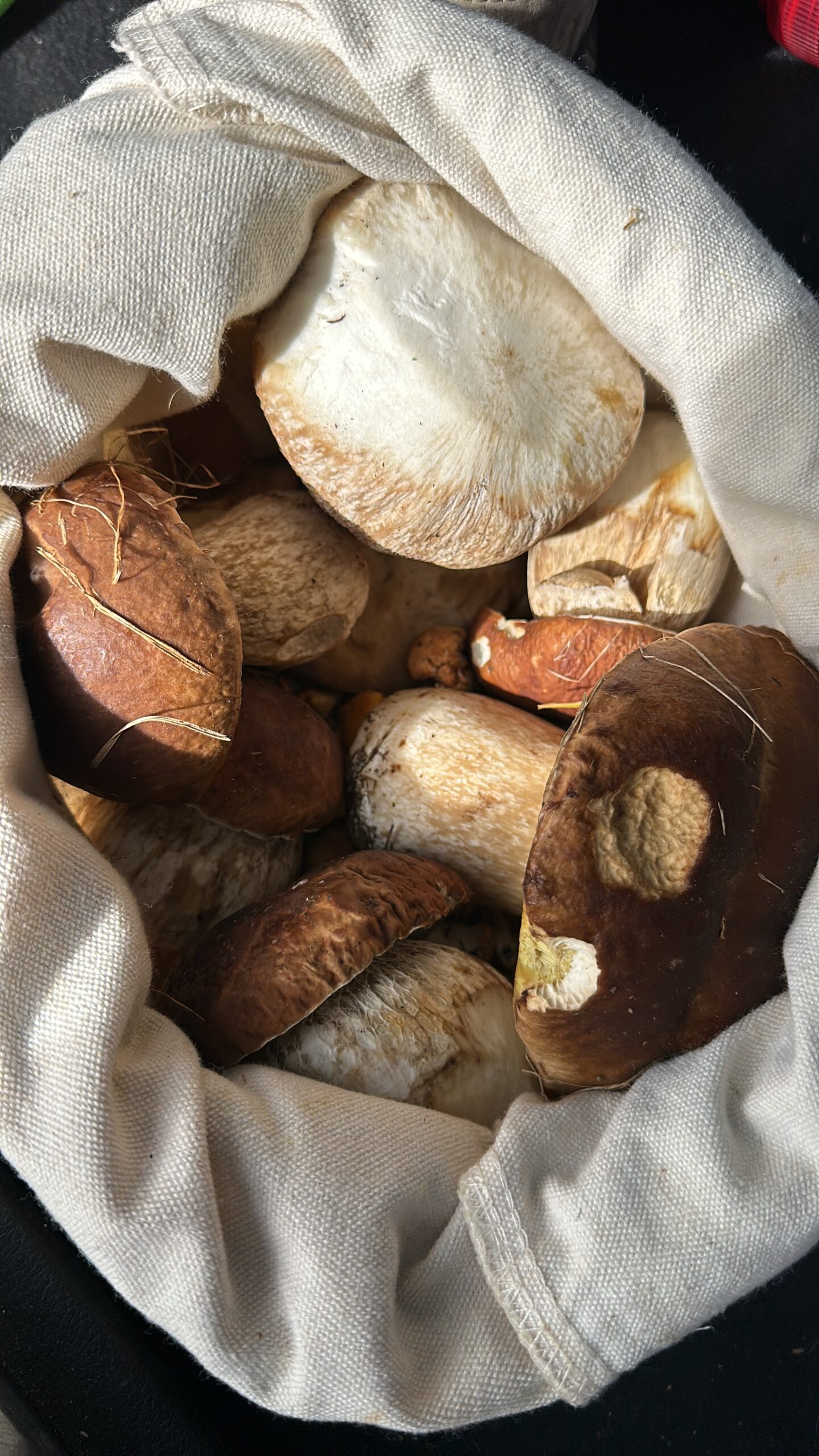 Porcini Mushrooms Cooking @ The Chef Kitchen